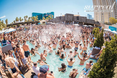 Palm Tree Beach pool 